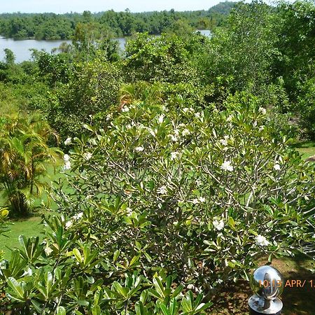 Sobaco Nature Resort Bentota Exterior foto