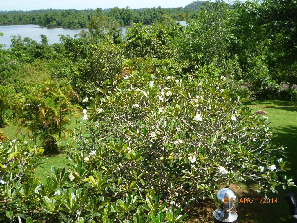 Sobaco Nature Resort Bentota Exterior foto