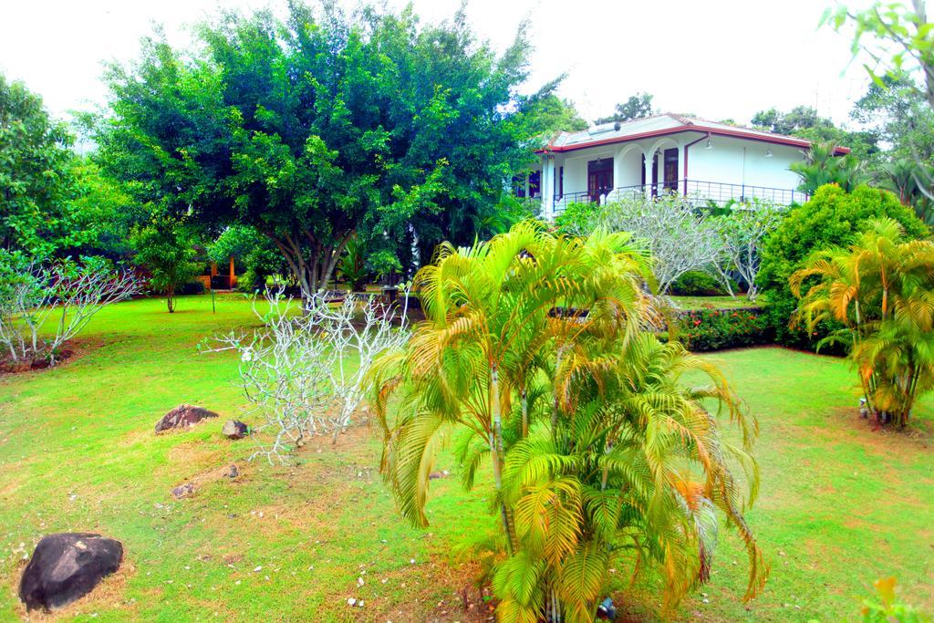 Sobaco Nature Resort Bentota Exterior foto