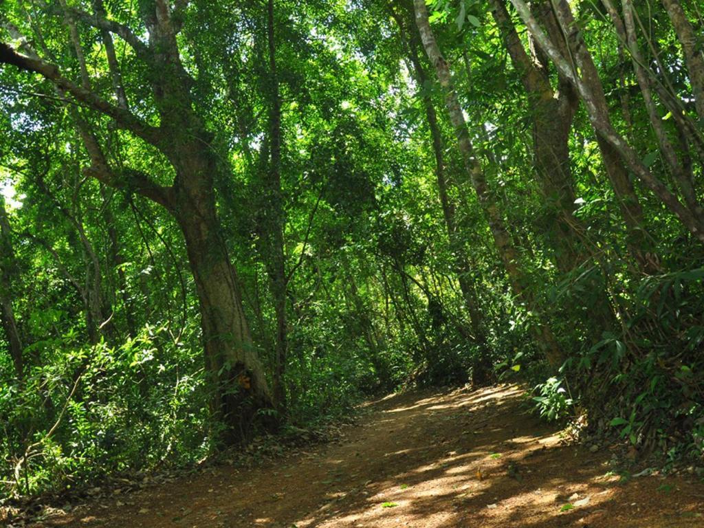 Sobaco Nature Resort Bentota Exterior foto